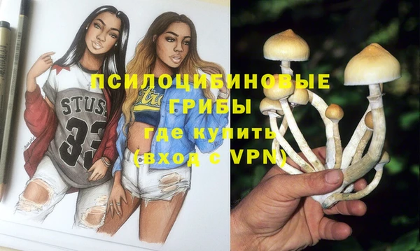 марки lsd Абаза