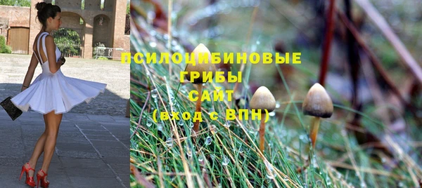 2c-b Алексеевка