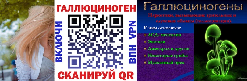 купить   Тында  Псилоцибиновые грибы Cubensis 